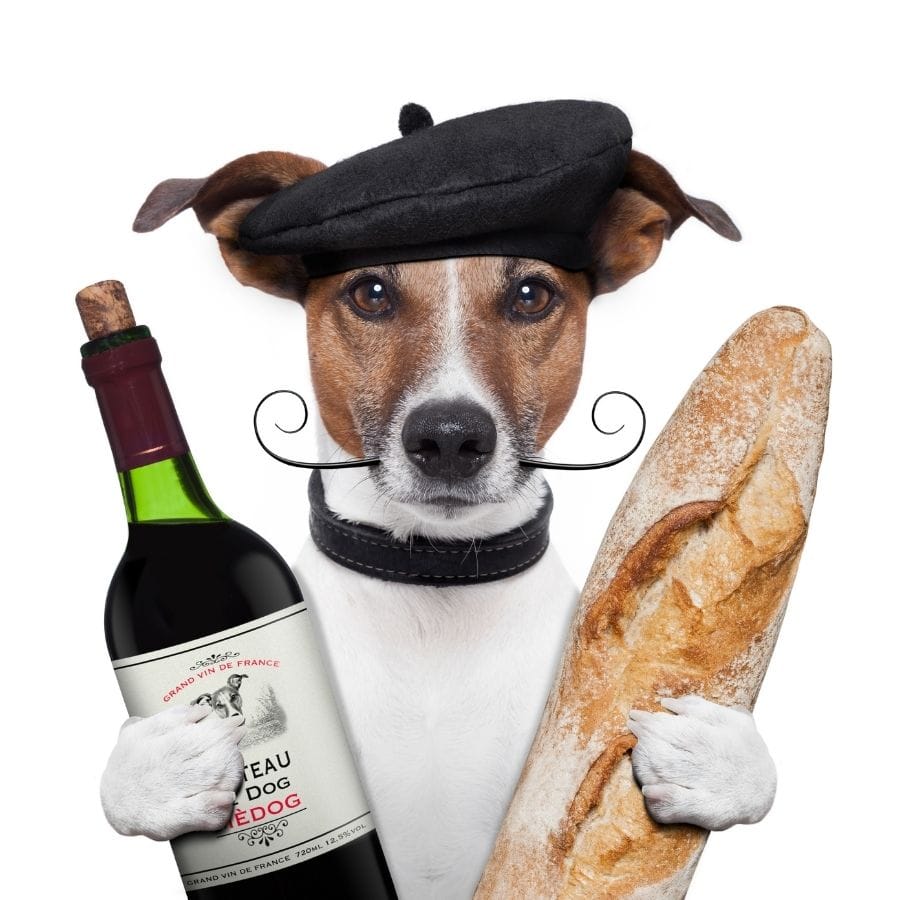 perro frances boina vino baguette