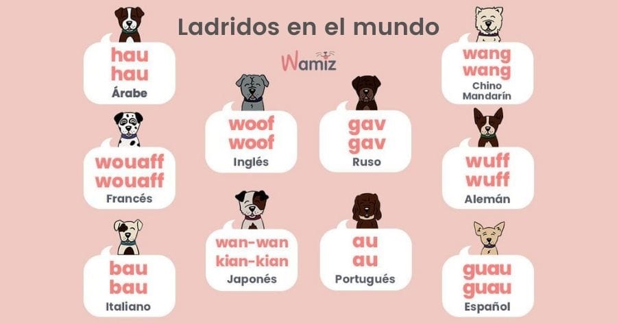 ladridos perro mundo idiomas