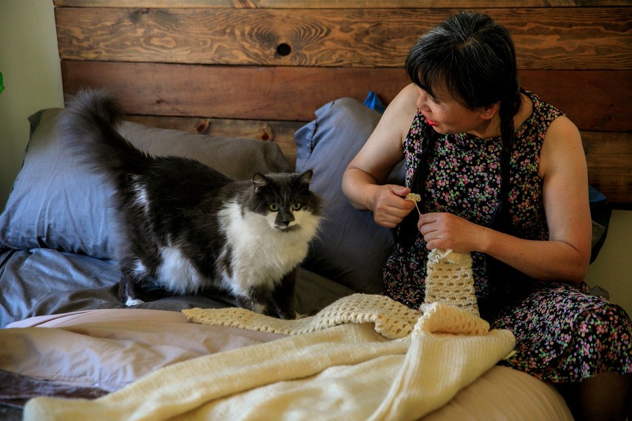 hacer sueter tejido para gato